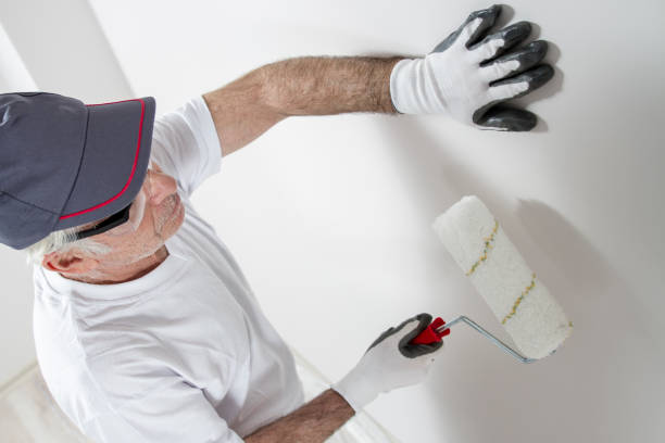 Best Black Mold Removal  in Edgemont Park, MI