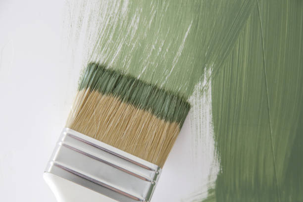 Reliable Edgemont Park, MI Mold Removal Solutions