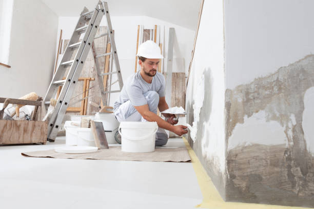 Edgemont Park, MI Mold Removal Company