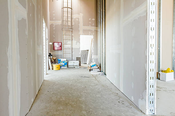 Best Air Quality Testing for Mold Spores  in Edgemont Park, MI